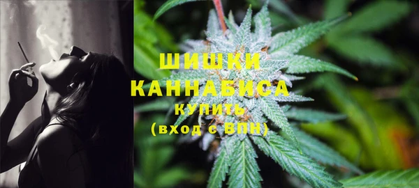 крисы Вязьма