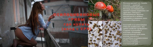 крисы Вязьма