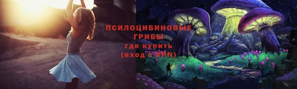 тгк Вяземский