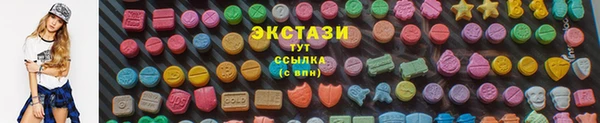 тгк Вяземский