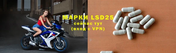 крисы Вязьма