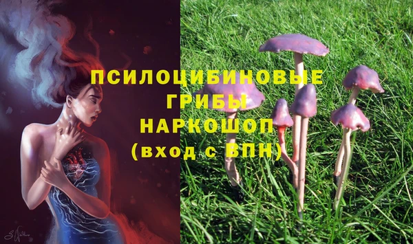 крисы Вязьма