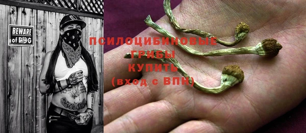 тгк Вяземский