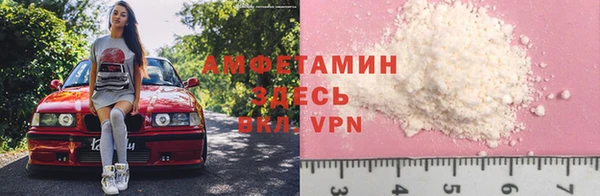 крисы Вязьма
