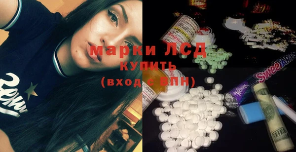 крисы Вязьма