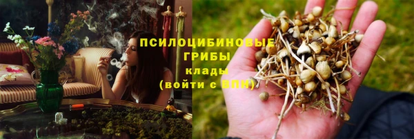 крисы Вязьма