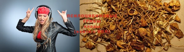 тгк Вяземский