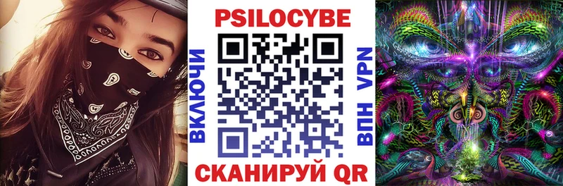 Купить где  Кизляр  Псилоцибиновые грибы Cubensis 